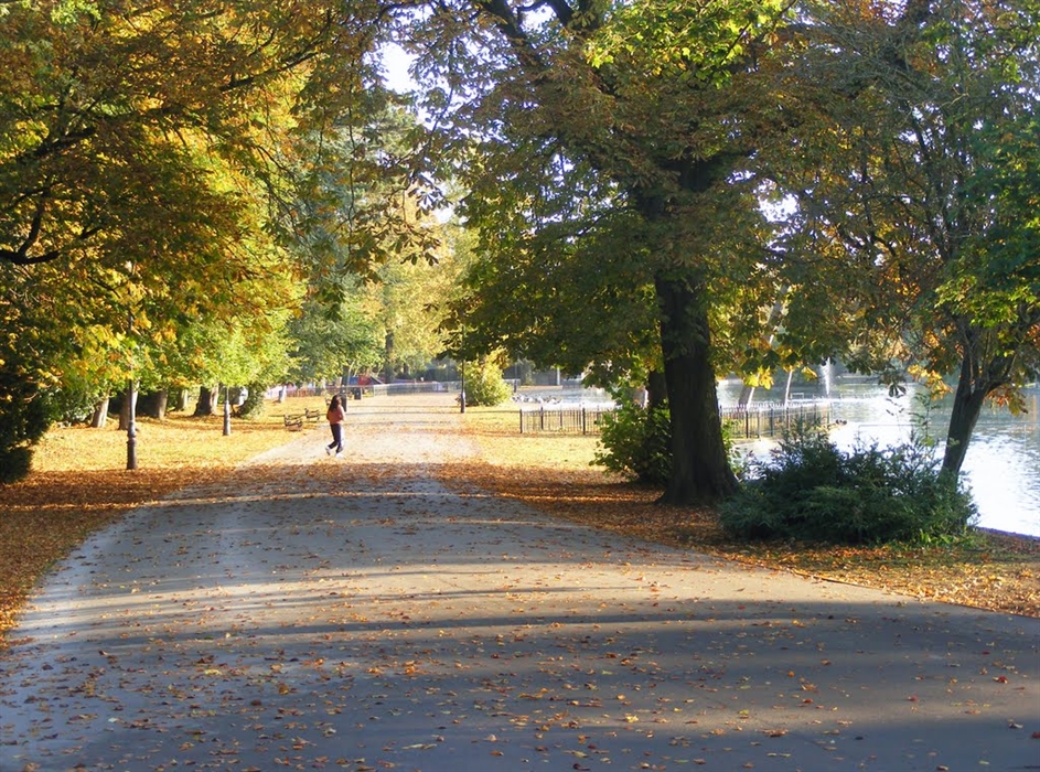 Cannon Hill Park