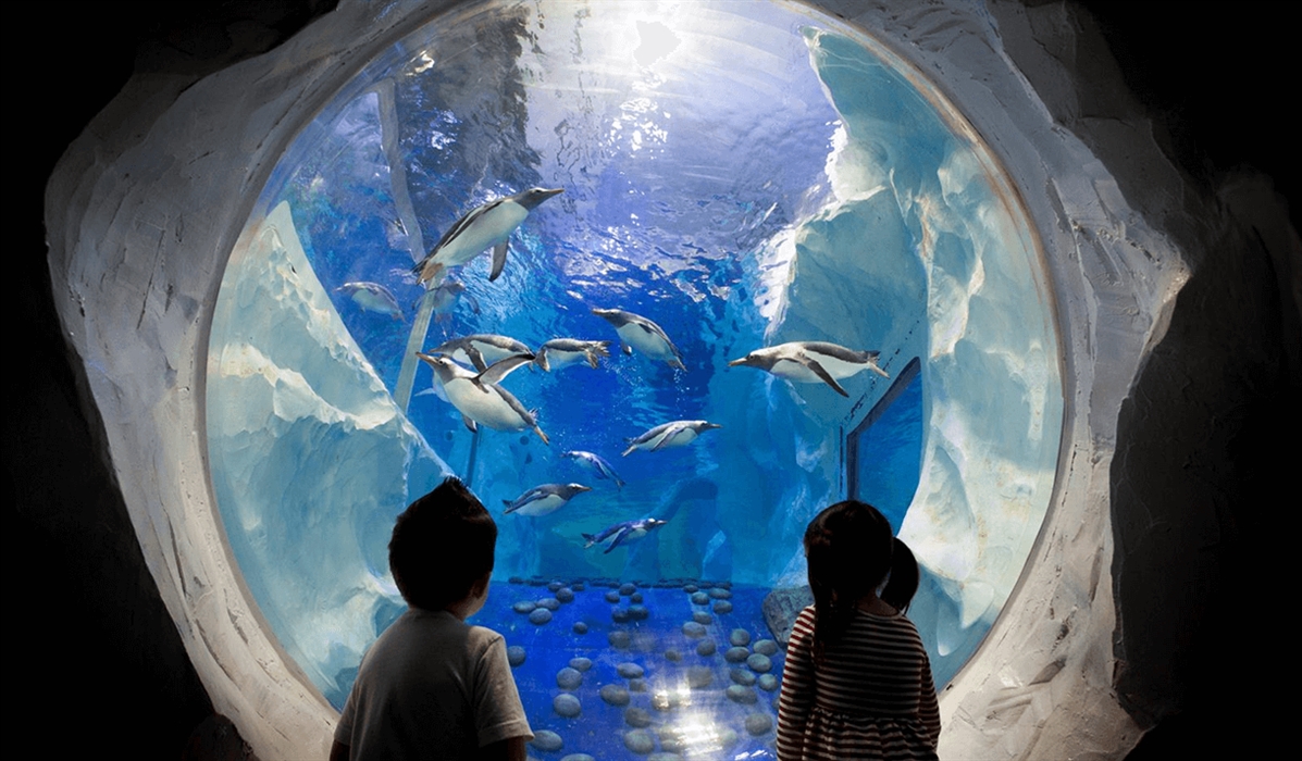 National SEA LIFE Centre Birmingham